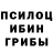 Псилоцибиновые грибы ЛСД Gulnaz Mukhamadin