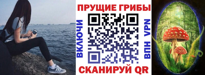 Псилоцибиновые грибы мухоморы  купить наркотики цена  Ак-Довурак 
